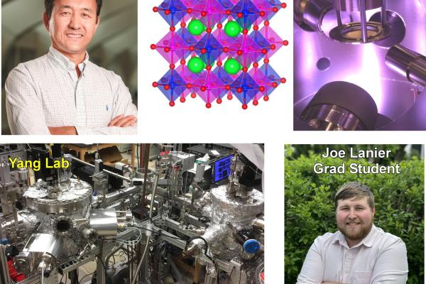 Collage from Yang lab