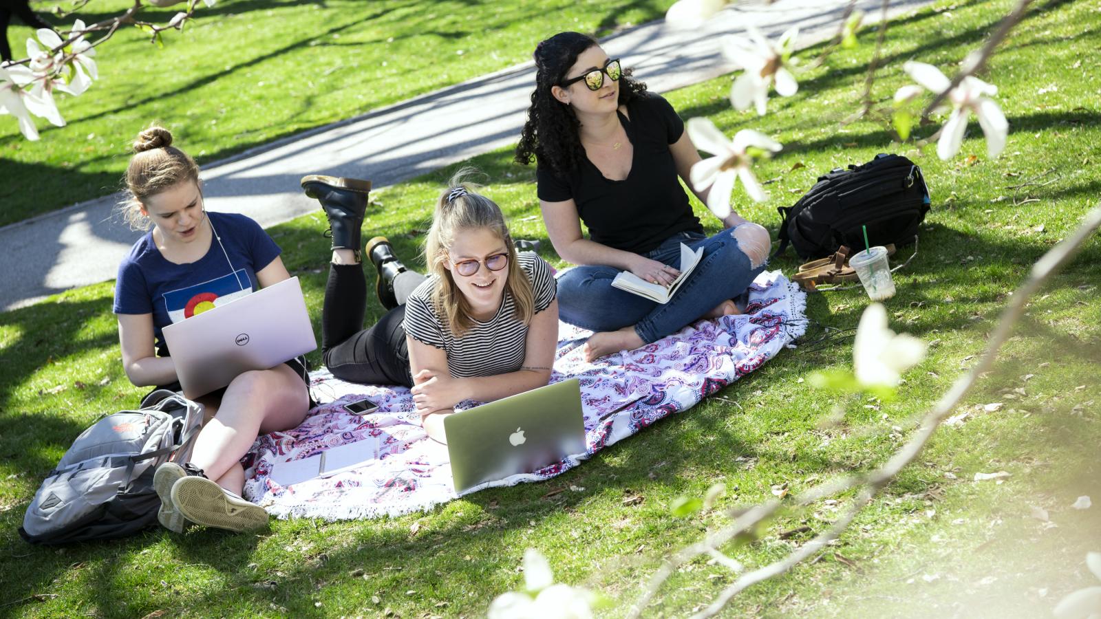 students sitting on the grass on the green space called the oval