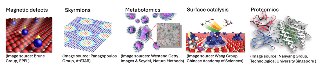 Models of magnetic defects, skyrmions, metabolomics, surface catalysis, and proteomics