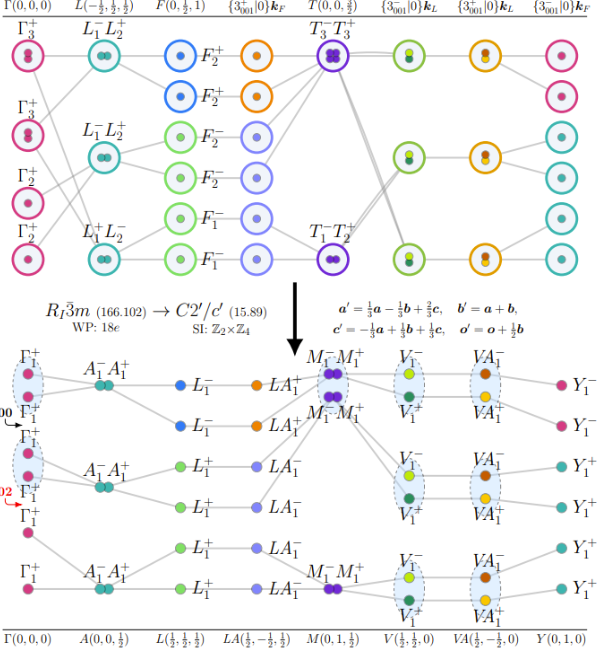 scientific graphic showing researchers' process