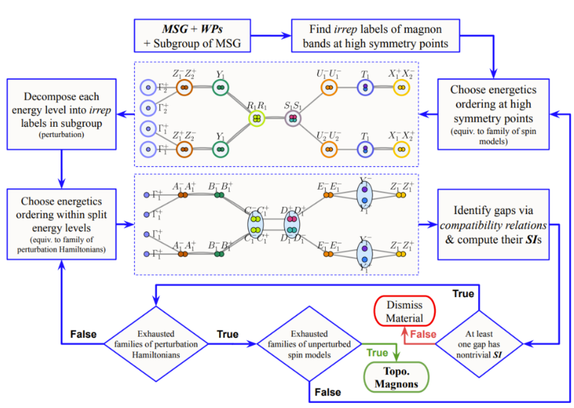 scientific graphic showing researchers' process