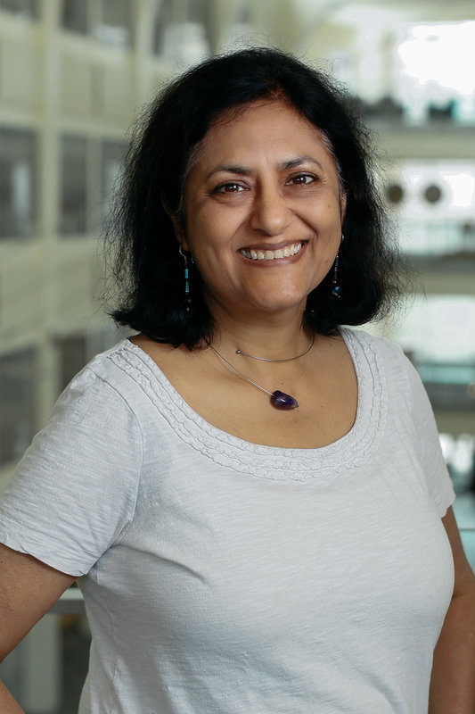 Prof. Nandini Trivedi named 2019 OSU Distinguished Scholar ... Prof. Nandini Trivedi named 2019 OSU Distinguished Scholar ...