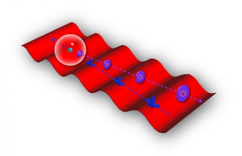 Illustration of research by DiMauro and Colleagues Illustration of research by DiMauro and Colleagues