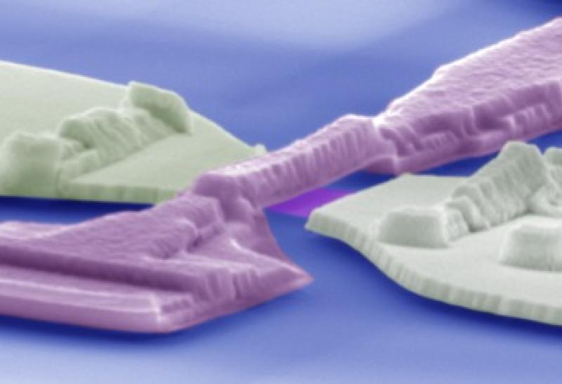 Lau figure 1