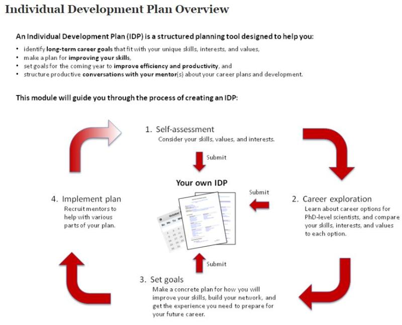 My individual development plan summery
