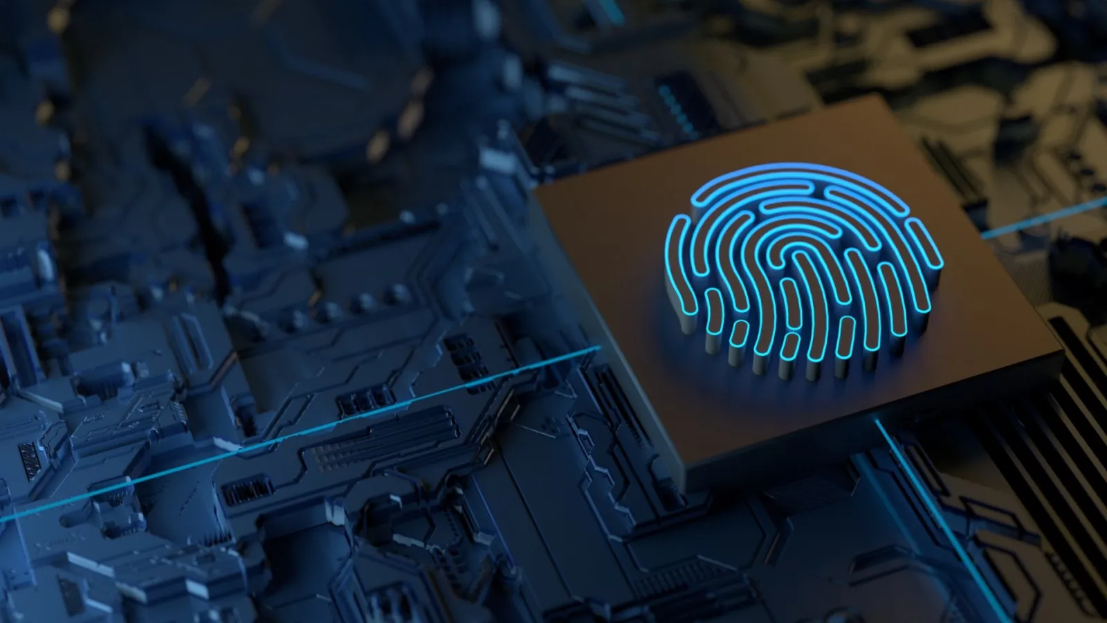 digital fingerprinting