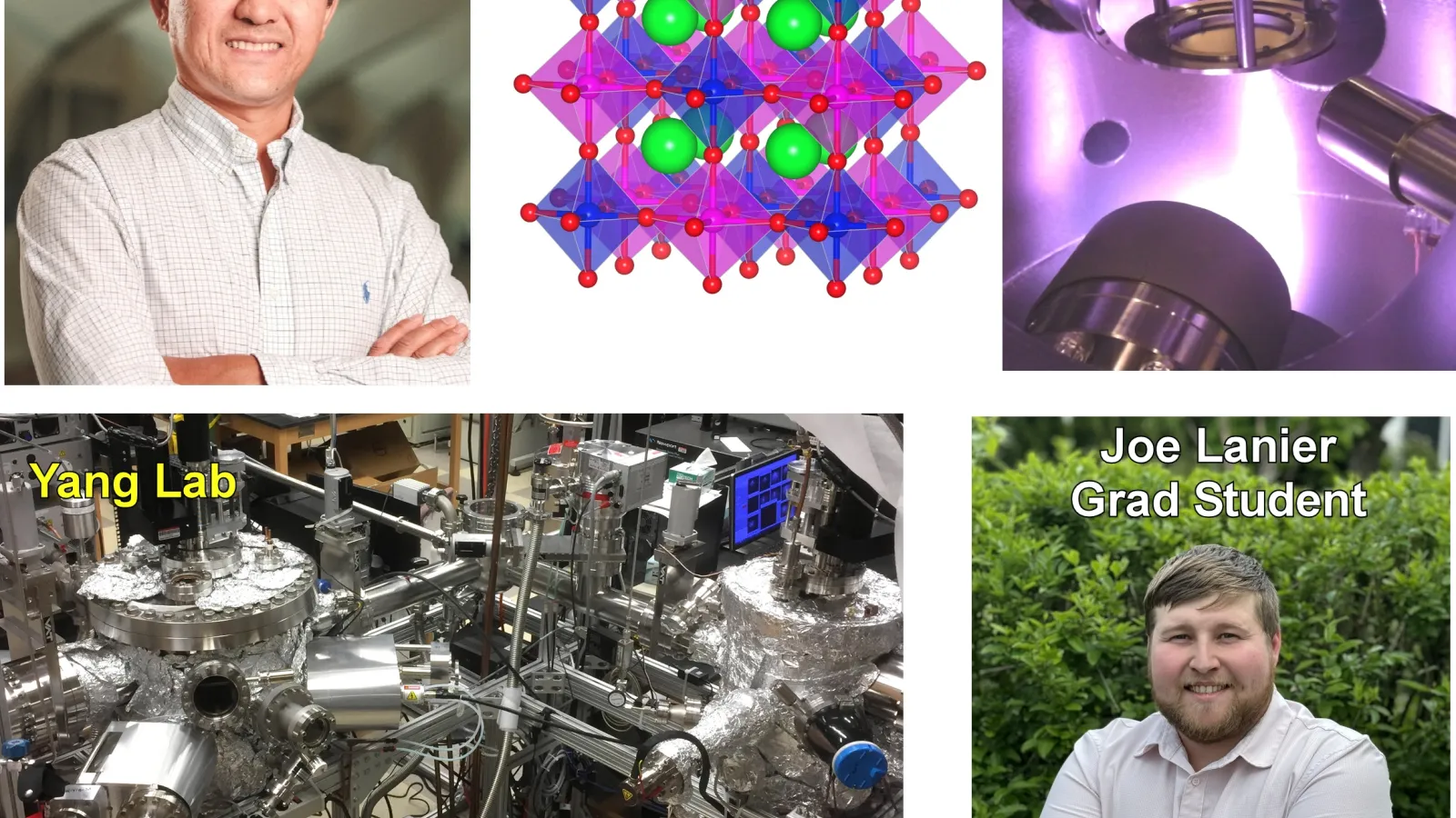 Collage from Yang lab