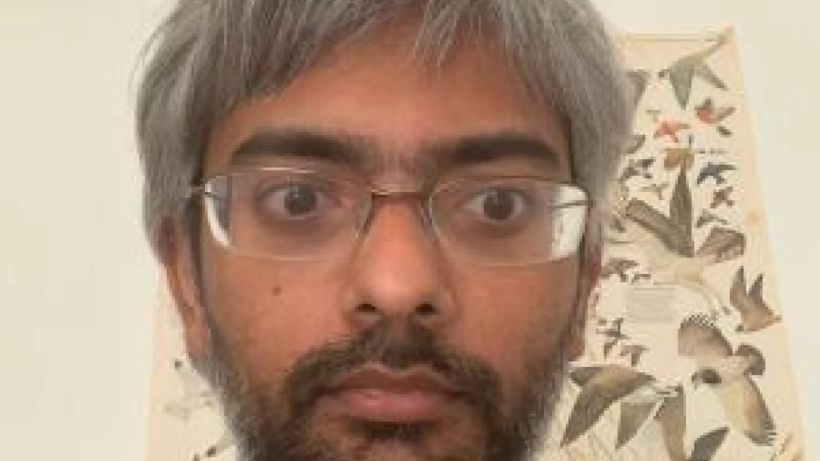 Sarang Gopalakrishnan in front of a beige wall and bird poster