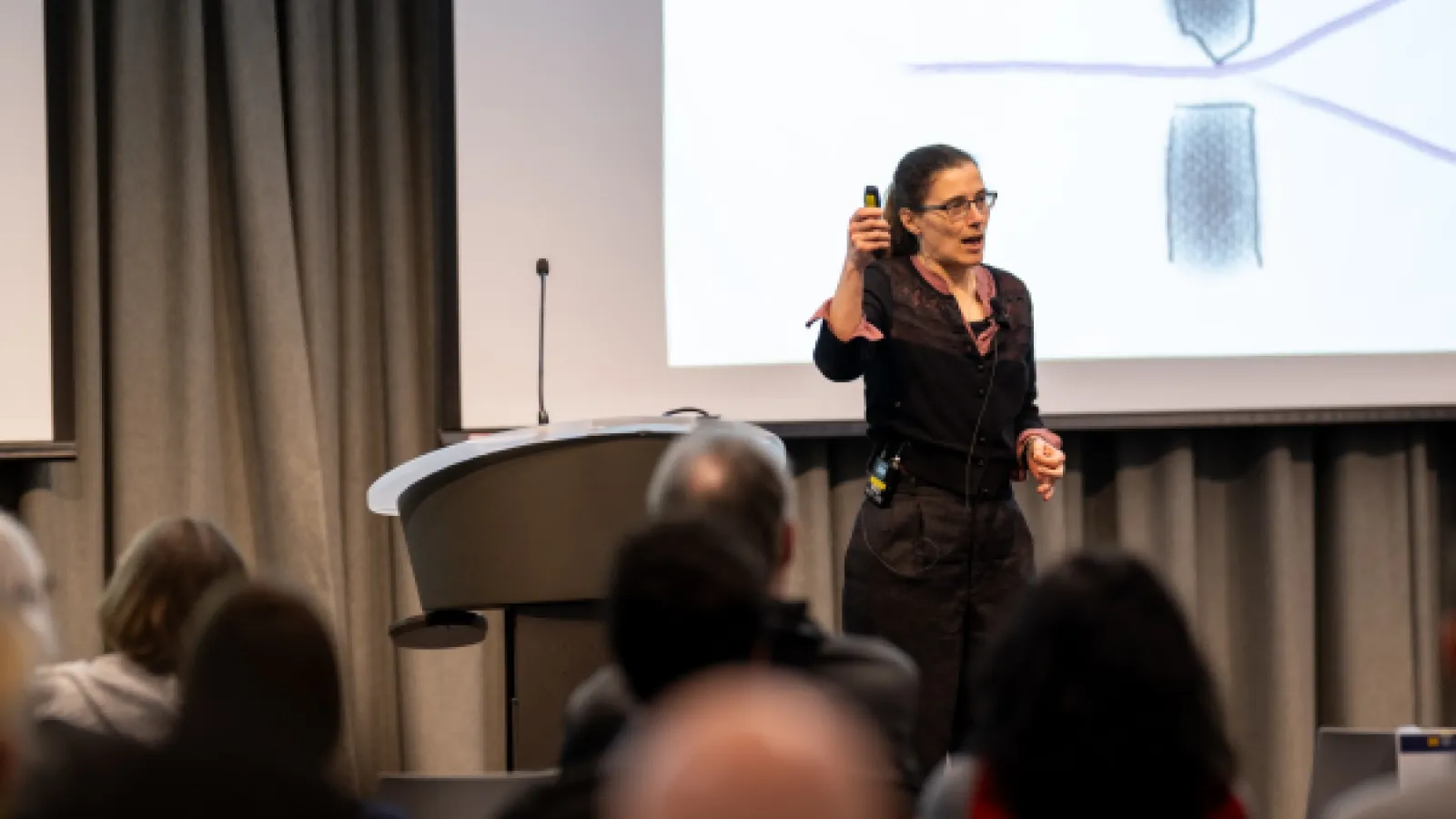 Dr. Laura Ruetsche giving a lecture