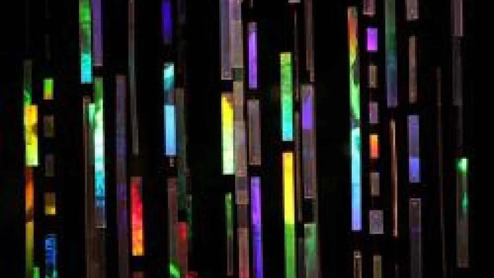 Betsy Connors Hologram
