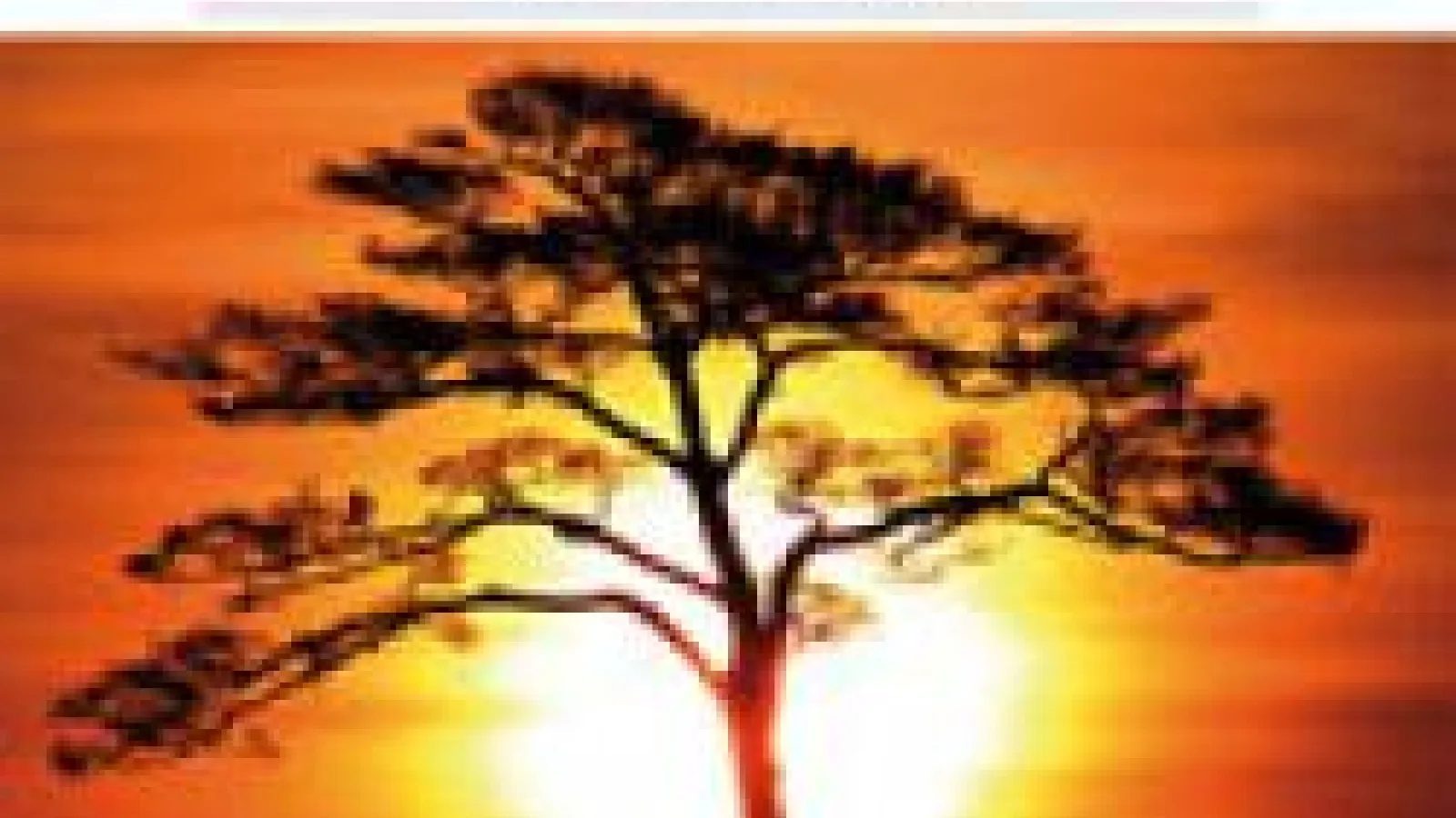 Nature's cover. It pictures a Baobab tree with a sunset in the background.