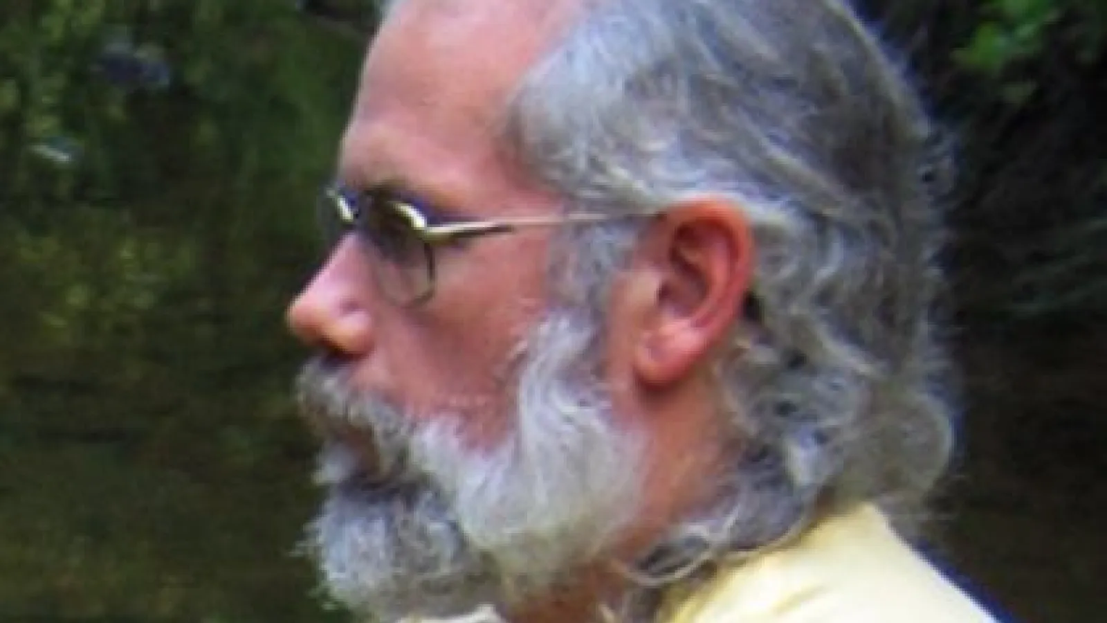 Matt Greenwolfe