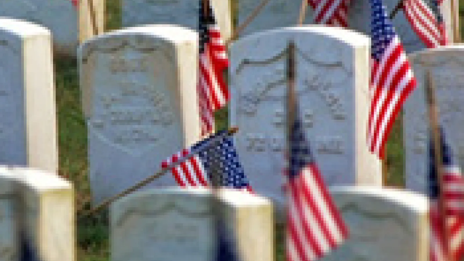 Veteran's graves with American flags