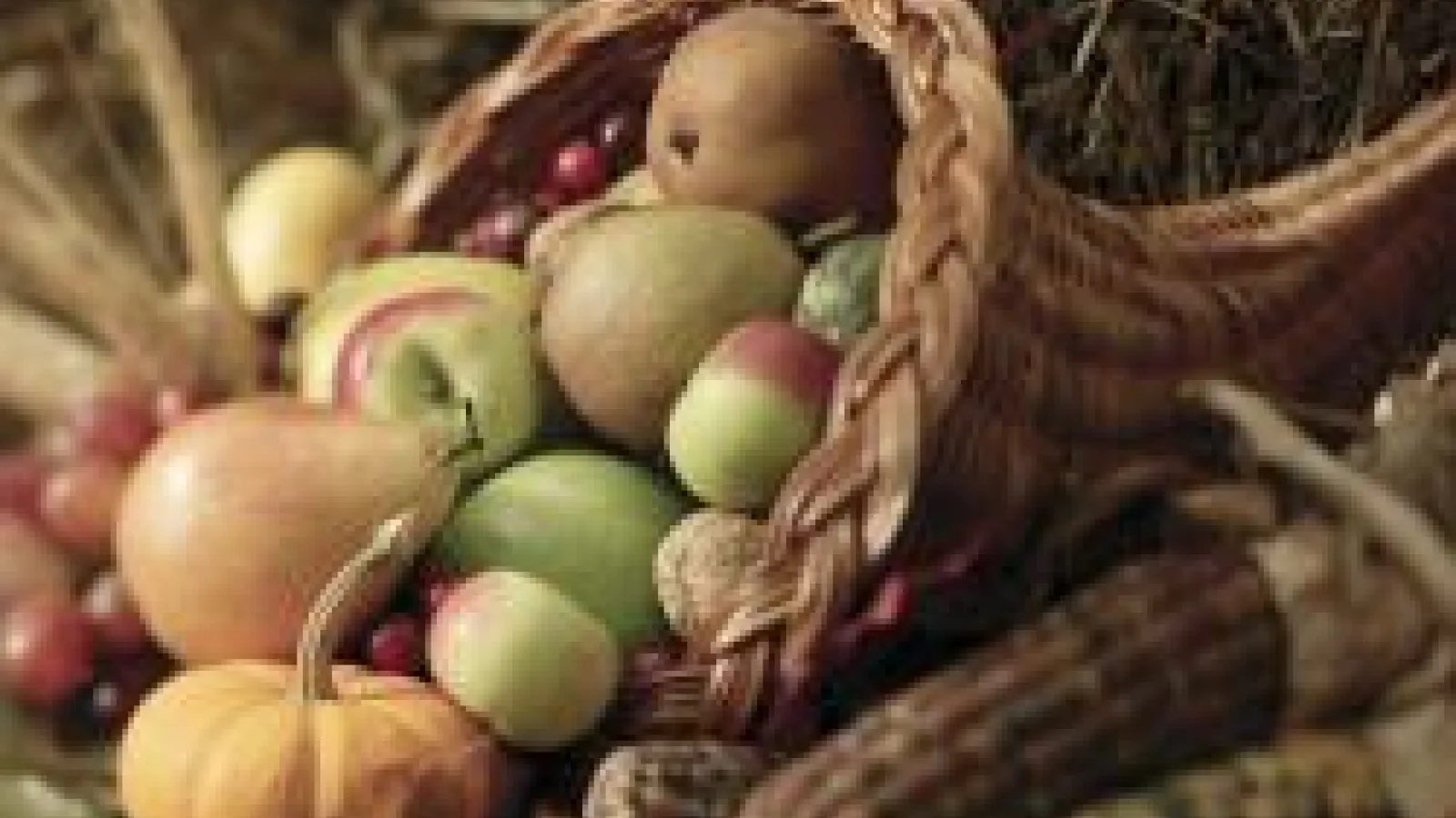 Cornucopia 