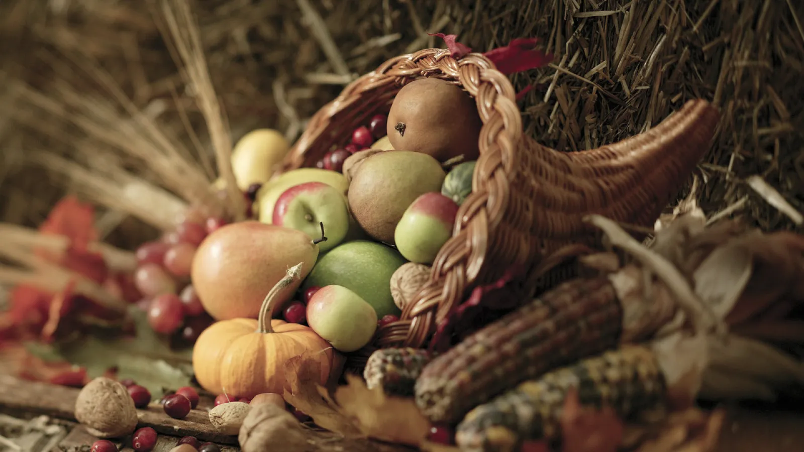 Happy Thanksgiving - cornucopia