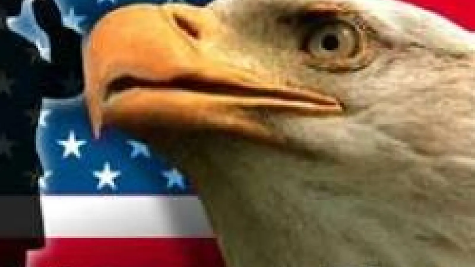 Bald eagle head and American flag with words "Veterans Day"
