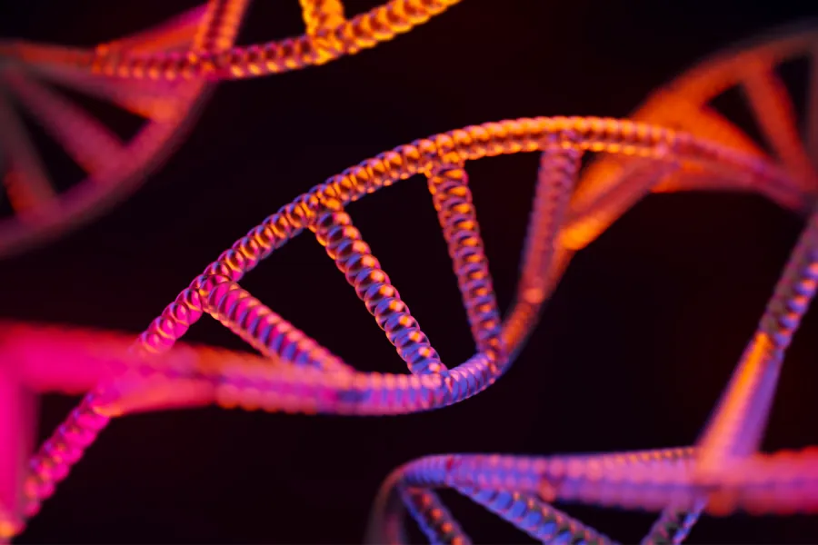 DNA strands