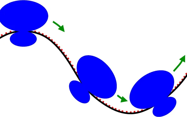 Ribosomes in the initiation, elongation, and termination process of prokaryotic translation