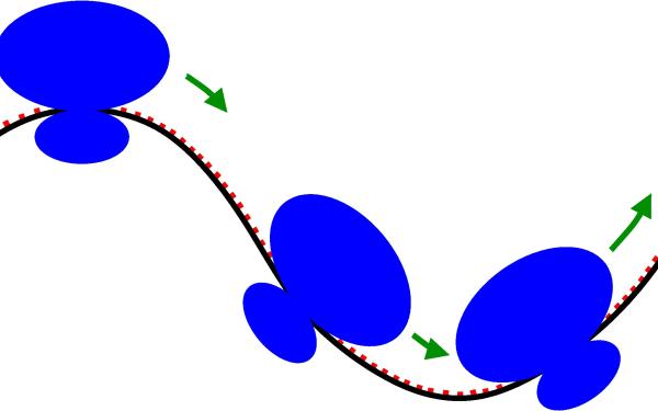 Ribosomes in the initiation, elongation, and termination process of prokaryotic translation