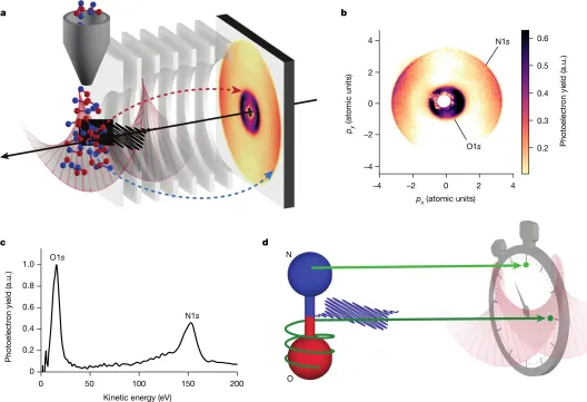 Fig 1 of Paper