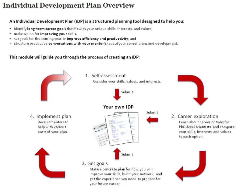 My individual development plan summery