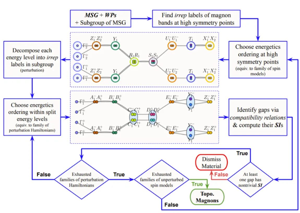 scientific graphic showing researchers' process