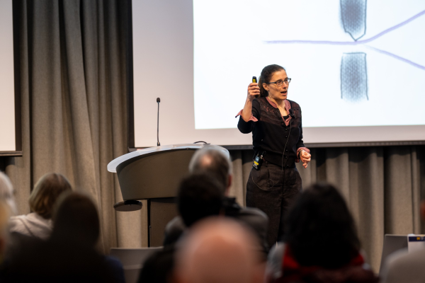 Dr. Laura Ruetsche giving a lecture
