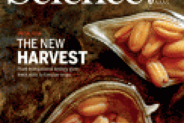 SCIENCE COVER Science cover
