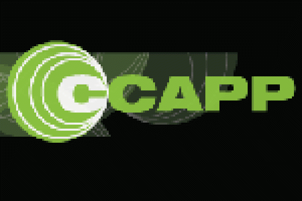 A logo for the Center for Cosmology and AstroParticle Physics (CCAPP) featuring green text with a black background.