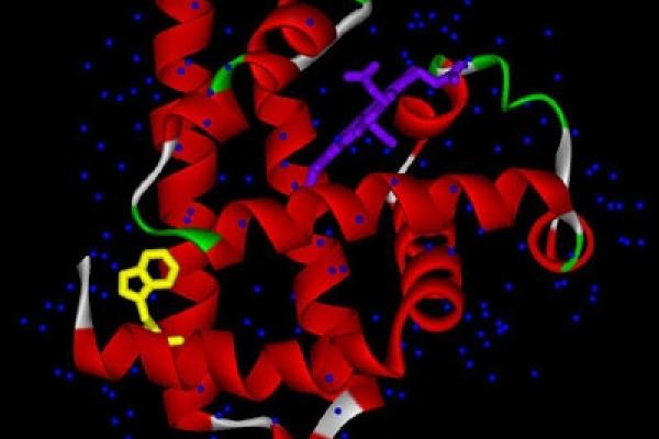Generic science graphic of protein structures