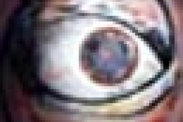 Holography image picture of holography image