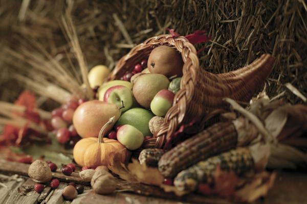 Happy Thanksgiving - cornucopia