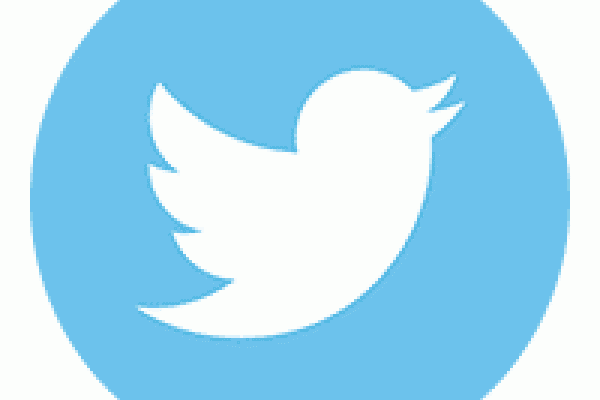 The logo for social media app Twitter with a blue circle and white cutout of a bird shape in the middle.