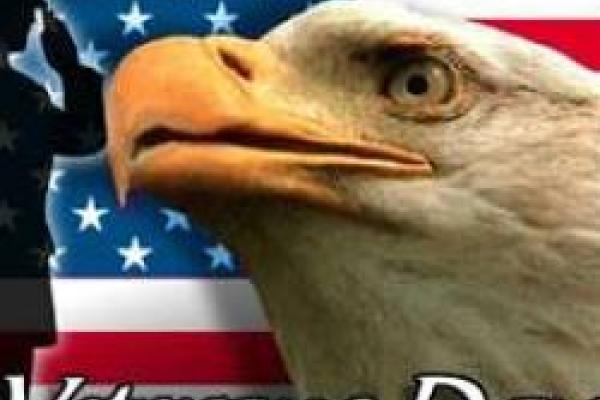 Graphic of bald eagle head and American flag with words "Veterans Day"