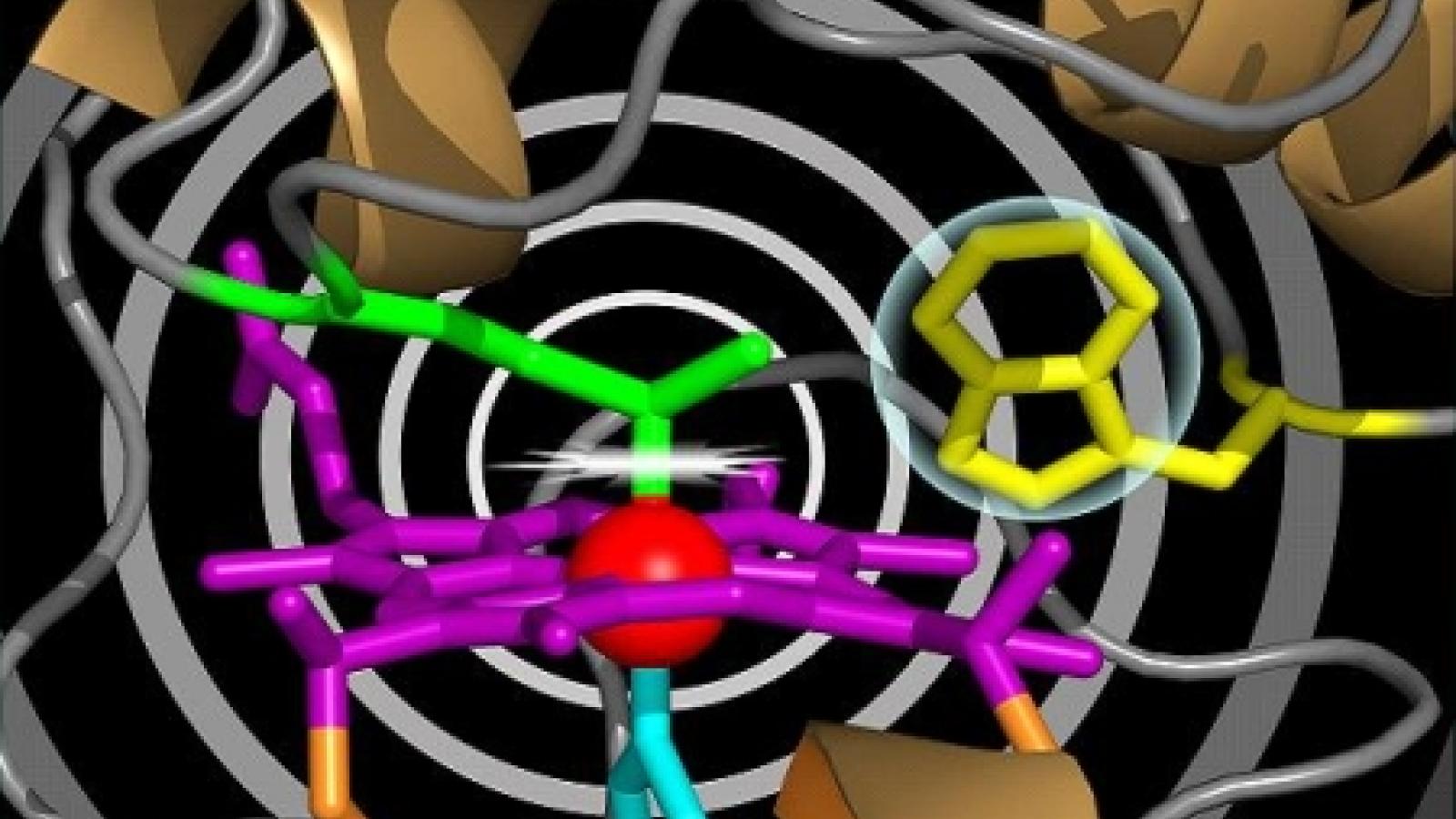 The Tristani-Firouzi Laboratory - Ion Channel Biophysics Research | CVRTI