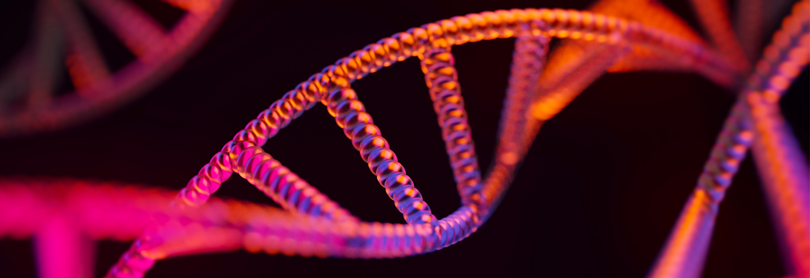 DNA strands