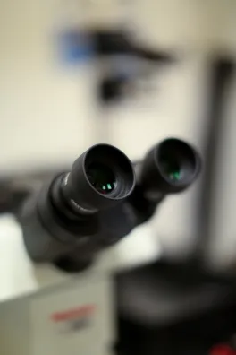 Microscope